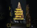 今年も変わらず巨大なメタセコイヤがクリスマスツリーに変身！happy holidays buddies merry christmas enjoy your day クリスマスツリー