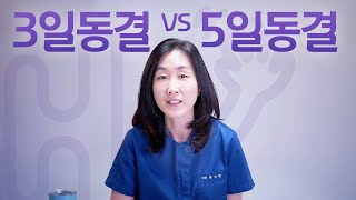 시험관 시술 Q&A | 3일 동결배아와 5일 동결배아의 임신율 차이?