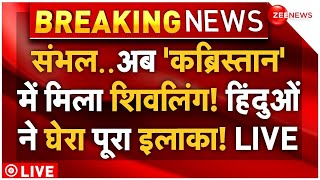 Shiv Temple Found in Cemetery in UP LIVE: संभल के बाद कब्रिस्तान में मिला शिवलिंग! | Sambhal | Yogi