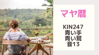 【マヤ暦】KIN247の運に愛される過ごし方♡