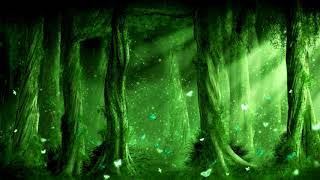 Thomas Bergersen - The Hidden Rainforest Extended