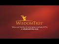 dgs wisdomtree emerging markets smallcap dividend fund