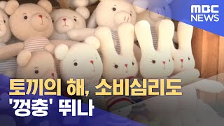 토끼의 해, 소비심리도 '껑충' 뛰나 (2023.01.02/뉴스데스크/MBC)