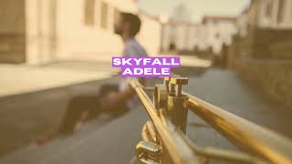 Skyfall by Adele (Trumpet Cover)