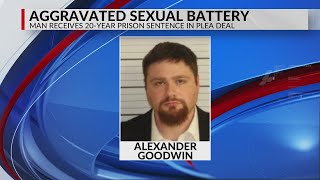 Man pleads guilty to child sex charge, sentenced to 20 years