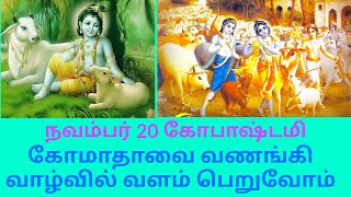 கோபாஷ்டமி | பசுக்களை வணங்கி பலன் பெறுவோம் | கோமாதா | ungal hireesh