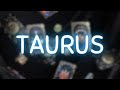 TAURUS FINALLY, THIS PERSON COMES TOWARDS YOU WITH A SERIOUS PLAN