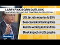 Larry Fink’s Grim Outlook