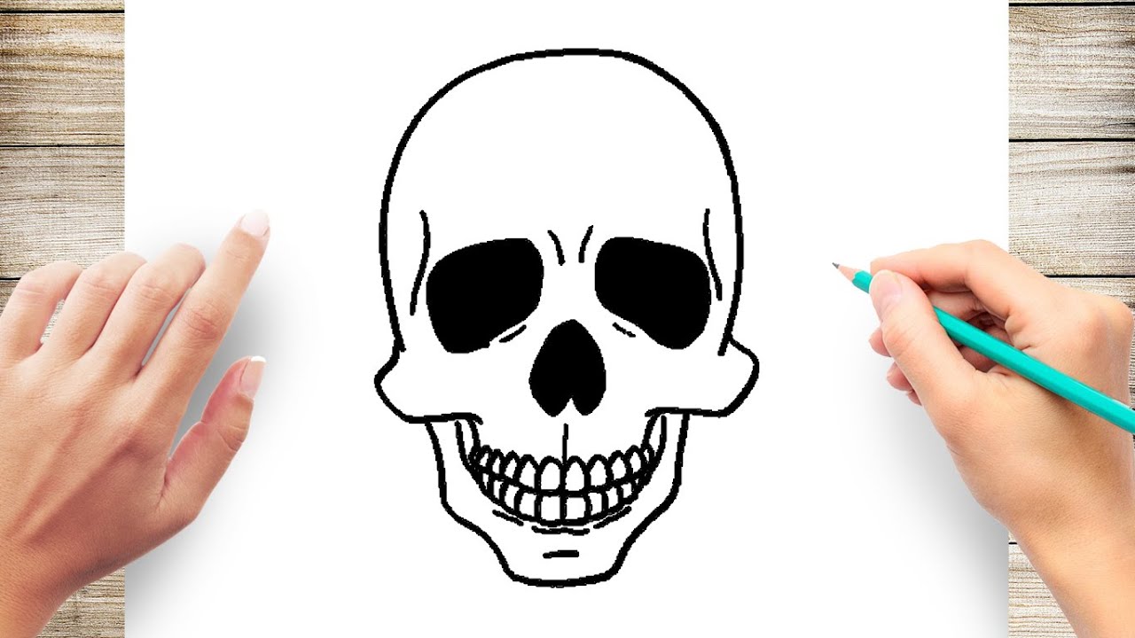 How To Draw The Human Skull Intelligencesupply16
