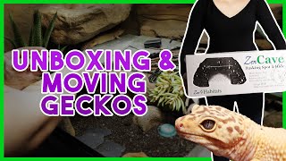 UNBOXING & PREPARING GECKOS TO MOVE | Zen Habitats, Reptile Room & More