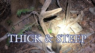 THICK \u0026 STEEP || 2020 California PUBLIC LAND Archery Hunt || CACCIA OUTDOORS