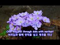 여수 旅愁 나그네 설움 고향집 박인수 원곡 dreaming of home and mother 꿈에 본 고향집과 어머니 john pond ordway 작곡