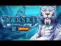 Tiger's Ice slot by Alchemy Gaming | Trailer