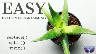 Python Programming: Tutorial 5: replace() | strip() | split()