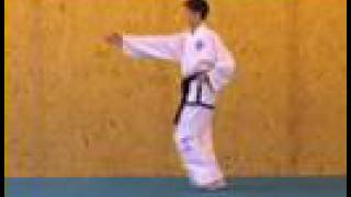 ITF Taekwon-Do Patterns (10 of 14) Hwa-Rang