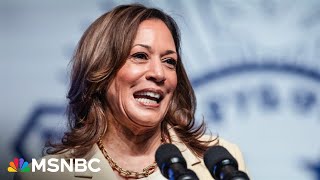 House Democrats 'running strong' amid rising enthusiasm over Harris campaign