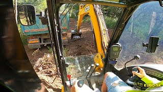 Nakladanie koreňov | JCB 8085 midi excavator | Cab view