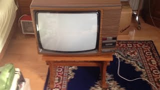 TELEFUNKEN PALcolor V 6210 Farbfernseher von 1982