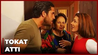 Memoli'nin Sırrı Zeyno'yu Çıldırttı | Yılan Hikayesi 8.Bölüm