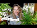 How To Stop Killing Your Boston Fern 🌿 EASY Tips To Make Your Ferns THRIVE!