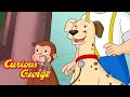 George and the Disappearing Dog!  🐵 Full Episode 🐵 Curious George 🐵 Kids Cartoon 🐵 Kids Movies