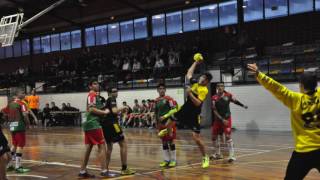 Handbol Lleida Pardinyes