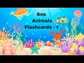 Sea Animals | Learn sea animals names in English | Kids vocabulary | English Educational Video