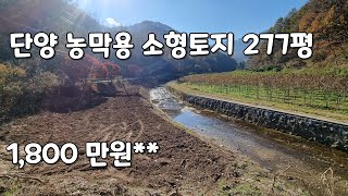 (NO.368) 2차선 도로접 .물가옆 단양 소형 농막용 토지 / 단돈!!!  1,800 만원/양봉터 , 쉼터 로 추천 /제천시내 , 남제천IC 15분 소요