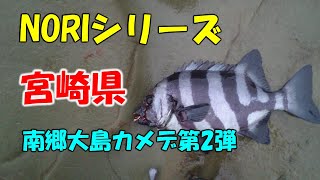 宮崎県底物　日南大島カメデ第2弾