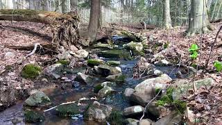 2.46 Acres with Stream