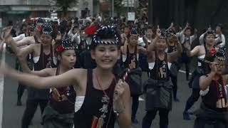 【Japanese taradition】#023 Daijyayama matsuri おおむた 大蛇山 まつり　2015