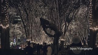 [4K]東北のイルミネーション SENDAI光のページェント 2016 | SENDAI PAGEANT OF STARLIGHT in Miyagi japan