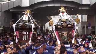 平成26年 大岡越前祭 神輿ﾊﾟﾚｰﾄﾞ 湘南連合神輿保存會です｡