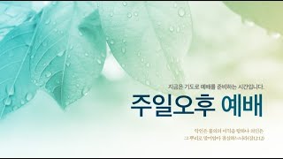 하나님이 새해에 주시는 착한 일을 발견하라 (빌립보서 1:6) / 김일수 목사 / 1월 6일 황금교회 오후예배