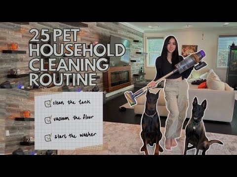 25 Pet Household Daily Cleaning Routine Youtube