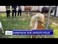 POLRES KUTAI BARAT BAGIKAN PAKET KURBAN KE YATIM PIATU