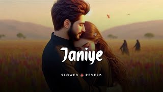 Janiye (Slowed + Reverb) | Vishal Mishra, Rashmeet Kaur | Chor Nikal Ke Bhaga | 👁️