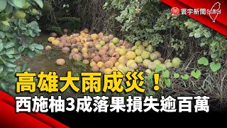 高雄大雨成災！西施柚3成落果損失逾百萬｜#寰宇新聞 @globalnewstw