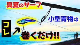 【静岡サーフ】鉄PANバイブを巻くだけで簡単に釣る方法がありました。