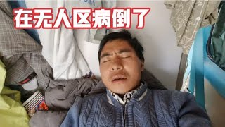 为了救两次遇见的流浪狗在无人区病倒了，离医院太远了只能硬撑着【环华穷游】