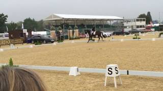 Bocelli - British Dressage National championships