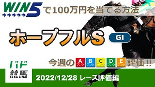 【WIN5で100万円：レース評価編】 2022年12月28日（水）ホープフルS