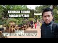 KAWASAN RUMAH PANGAN LESTARI || KRPL KWT SUKAMAJU JAYA || PADARINCANG - SERANG