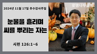 2024년 11월 17일 추수감사주일예배 / 눈물을 흘리며 씨를 뿌리는 자는 (시편 126:1-6)