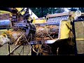 Fastest Tree Shredder Crusher Equipment | Destroyer Machines Wood Chipper Working