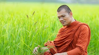 🔴สัจธรรมชีวิต พระครูสมุห์ประเสริฐ เสฏฐปุตโต วัดสุทธิวงศา อ.สนม จ.สุรินทร์  #ใบบุญ