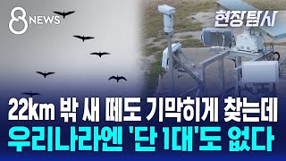 조류 탐지 레이더, 한국 공항엔 사실상 '0' / SBS 8뉴스