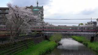 野川の桜　京王電鉄