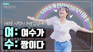 🛳️ 다 보여줄게 완전히 달라진 여수💕 지금까지의 여수는 잊어라! | 힐링여수야