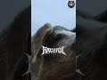 Rageful - Feed The Pigs